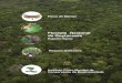 Floresta Nacional de Goytacazes · planas condizentes a unidade de Complexos Deltáicos, Estuarinos e Praias ..... 8 Fotografia 3. Visão geral do limite oeste da FLONA de Goytacazes