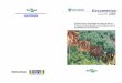 Documentos Agrobiologia ISSN 1517-8498 Dezembro/2002 156 · PDF file Dezembro/2002 156 Agrobiologia Relações entre a Diversidade da Fauna de Solo e o Processo de Decomposição e