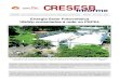 CRESESB · 2009. 4. 16. · para uma futura sede de um Centro de Informações do CRESESB. Os projetos apresentam diversas solu-ções para a integração estética de mó-dulos fotovoltaicos