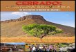 Editorial - Col£©gio Lourdinas 2017. 10. 30.¢  Editorial A revista, Cerrado: a savana brasileira, foi