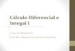 Cálculo Diferencial e Integal I - Unemat - Sinopsinop.unemat.br/.../fot_15465integyal2_pdf_INTEGRAL2.pdfIntegral Definida O Teorema que veremos a seguir nos fornece um método para
