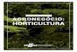 ESTUDO DE MERCADO AGRONEGÓCIO: HORTICULTURA Sebrae/UFs... · Horticultura é o nome que se dá à ciência que trata do cultivo de diversos tipos de plantas, sejam elas cultivadas