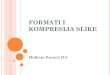 FORMATI I KOMPRESIJA SLIKE - Brčko · 2012. 5. 10. · Title: FORMATI I KOMPRESIJA SLIKE Author: DaemoN Created Date: 5/10/2012 7:00:42 PM