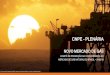 CNPE - PLENÁRIATCC em negociação entre Petrobras e CADE Regulação ANP Regulações Estaduais, incentivadas por programas Federais como o PEF e o PFE, além de comunicação e
