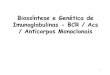 Biossأ­ntese e Genأ©tica de Imunoglobulinas - BCR / Acs ... ANTICORPOS MONOCLONAIS â€¢ Sأ£o anticorpos