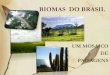 BIOMAS DO BRASIL - BIOMAS DO BRASIL UM MOSAICO DE PAISAGENS. Principais Biomas Os biomas diferem quanto