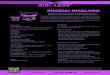 239- ES- Poliuretano para Piscinas Incoloro Idroless · 2017. 4. 12. · PISCINAS INCOLORO +34 981 93 88 92 info@idroless.com Ficha técnica con fin informativo para, proporcionar