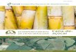 OBSERVATÓRIO AGRÍCOLA Cana-de- DA SAFRA ......área colhida no Brasil de cana-de-açúcar des-tinada à atividade sucroalcooleira, na safra 2016/17, deverá ser de 9.110,9 mil hectares