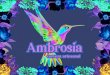 AMBROSIA CERVEZA ARTESANAL · 2020. 10. 31. · Title: AMBROSIA CERVEZA ARTESANAL Created Date: 10/22/2020 6:08:27 PM