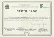 CERTIFICADOlrv.ifmt.edu.br/media/filer_public/d7/77/d7773069-d156-4... · 2018. 10. 3. · CERTIFICADO Certificamos que, Laura Schimaniak participou do Minicurso “Curso básico