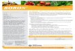 N Micronutriente - Agroinnova · 2020. 4. 27. · BORON Micronutriente Para añadir zinc a una aplicación de boro, Z-Max® se puede mezclar con Boron® cuando ambos se diluyen adecuadamente