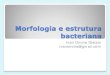 Morfologia e estrutura - Onone Protetores Bucaisacademico.ononeprotetores.com.br/wp-content/uploads/2020/... · 2020. 2. 10. · Morfologia e estrutura bacteriana Ivan Onone Gialain