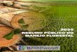 RESUMO PÚBLICO DO MANEJO FLORESTAL - Brasilwood · 2020. 8. 19. · Nutrição Florestal, Sistemas de Manejo Silvicultural e Manejo de Pragas, Doenças e Plantas Invasoras. Quando