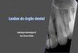 Radiologia Odontológica II Ivan Onone Gialainacademico.ononeprotetores.com.br/wp-content/uploads/2020/... · 2020. 2. 10. · Radiologia Odontológica II Ivan Onone Gialain. Estudo