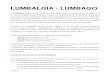 LUMBALGIA - LUMBAGO · 2020. 6. 3. · Lumbalgia 3 Tipos de lumbalgia A- Lumbalgia aguda, lumbago, sin irradiación, (o lumbalgia simple) Se puede definir como aquel dolor de espalda