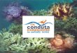 conduta · 2018. 9. 18. · A beleza natural dos recifes representa um importante atrativo turístico. O crescimento dessas atividades, combinado com o aumento da popularidade das