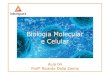 Biologia Molecular e Celular - WordPress.com · 2016. 9. 13. · Aula 04 ProfºProfº Ricardo Ricardo DallaDalla ZannaZanna. Procariontes Reino Monera oBactérias e Cianobactérias