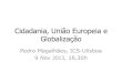 Cidadania, União Europeia e Globalização · 2018. 1. 25. · Cidadania, União Europeia e Globalização Pedro Magalhães, ICS-Ulisboa 9 Nov 2013, 16.30h . Nos indicadores da relação