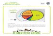 5 - Roda dos Alimentos Compostos para Animais - Roda dos...Roda dos Alimentos Compostos para Animais Procedimento: Com base no que escutaram anteriormente (enquadramento, vídeo, quiz)