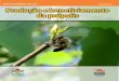ISSN 1414-5219 BOLETIM DIDÁTICO Nº 138 · 2017. 9. 29. · BD 138 – Produção e beneficiamento da própolis 1 INTRODUÇÃO A produção da própolis na apicultura racional, seja
