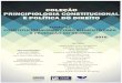 COLEÇÃOsiaibib01.univali.br/pdf/Constitucionalismo como elemento... · 2016. 8. 31. · ISBN: 978 -85 -7696 -169 -7 COLEÇÃO PRINCIPIOLOGIA CONSTITUCIONAL E POLÍTICA DO DIREITO