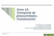 Tema 13: Transporte de fotoasimilados. Translocación. PDF/Tema 13... · Tema 13: Transporte de fotoasimilados. Translocación. Diapositiva nº: 1 Prof. Francisco J. García Breijo