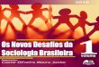 COSME OLIVEIRA MOURA JUNIOR - Editora Pascal · 2019. 11. 21. · Os novos desa os da sociologia brasileira 10 Considerações iniciais Os Conselhos de Direito em Políticas Públicas