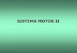 SISTEMA MOTOR IIfisio2.icb.usp.br:4882/wp-content/uploads/2016/08/Motor2.pdf · 2017. 6. 27. · Hierarquia do Controle Motor FUNÇÃO ESTRUTURAS Alto Médio Baixo Estratégia Tática