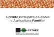 Crédito rural para a Cebola e Agricultura Familiaranacebrasil.com.br/wp-content/uploads/2018/05/senace...Crédito rural para a Cebola e Agricultura Familiar Pronaf Município: Quitandinha