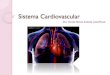 Sistema Cardiovascular - USP...do sistema cardiovascular. Guyton & Hall, 2002. Débito cardíaco. DC= VS X FC. Volume sistólico é de 70 a 80 mL por batimento. Frequência cardíaca