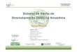 Sistema de Alerta de Desmatamento (SAD) na Amazônia · Boletim Transparência Florestal Sistema de Alerta de Desmatamento –SAD 3.0 Beta Emissão de CO 2 121 milhões de toneladas