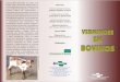 VERMINOSE EM BOVINOS - COnnecting REpositories 2016. 8. 9.آ  VERMINOSE EM BOVINOS VERMINOSE EM BOVINOS