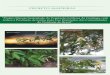 Projeto Manejo Sustentado da Vegetação Lenhosa da Caatinga, …static1.kew.org/science/tropamerica/folhetoPortugues... · 2007. 11. 22. · Projeto Manejo Sustentado da Vegetação