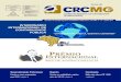 Jornal do - CRCMG · 2018. 9. 14. · Jornal do Informativo do Conselho Regional de Contabilidade de Minas Gerais | Ano XVIII | nº 171 | Jan/Fev 2015 Desenvolvimento Profissional