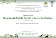 Sétima aula Responsabilidade Social e Sustentabilidade · 2012. 12. 7. · Sétima aula Responsabilidade Social e Sustentabilidade CCN-410.002 Dra. Elisete Dahmer Pfitscher ... (2001,