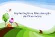 Implantação e Manutenção de Gramados - USP...• É a grama mais comercializada no Brasil 10 Grama Esmeralda Imperial • Nova variedade de grama lançada no Brasil pela Itograss