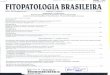 ~m'-.? ~v,; ViJ '-' FITOPATOLOGIA BRASILEIRAainfo.cnptia.embrapa.br/digital/bitstream/item/154666/1/... · 2017. 2. 3. · subglutinans, causal agent of mango malformation. A produtividade