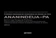 Prefeitura Municipal de Ananindeua do Estado do Pará ANANINDEUA … · 2019. 2. 4. · de Ananindeua e dá outras providências), e suas alteraçõ.....es; 76 Lei nº 2.355, de 16