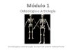 Osteologia e Artrologia - WordPress.com...Osteologia e Artrologia A - Noções fundamentais para o estudo da Anatomia • posição erecta • pés ligeiramente separados • braços