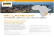 INVESTIMENTO ESTRANGEIRO - Montepio...caravanas com classificação mínima de três estrelas; - equipamento para desenvolvimento e exploração de marinas; - desenvolvimento de reservas,