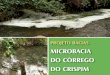 MICROBACIA DO CÓRREGO DO CRISPIM · 2019. 2. 25. · O Córrego Crispim, que é de que tratamos aqui, tem, em sua porção rural, 98 pequenas chácaras, usadas para moradia ou para