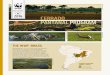 BR 2016 CERRADO PANTANALPROGRAM · 2016. 11. 1. · conservation linked with payment for environmental services; and the Pipiripau River Basin in the Federal District, where we are