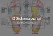O Sistema zonal - Portal do Aluno | Login · 2018. 4. 27. · (usados em acupuntura, acupressura e outros métodos) não são o mesmo que as zonas longitudinais, mas muitos de seus
