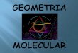 MOLECULAR - Há mais de 20 anos no Recreio€¦ · Na tabela, há exemplos de formas químicas do nitrogênio incorporadas por alguns seres vivos. O nitrato, íon de geometria trigonal