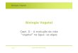 Biologia Vegetal - ULisboa maloucao/Aula 4BV.pdf Biologia Vegetal. A evoluأ§أ£o da vida â€œvegetalâ€‌