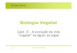 Biologia Vegetal - ULisboa maloucao/Aula 5BV.pdf Biologia Vegetal A evoluأ§أ£o da vida â€œvegetalâ€‌