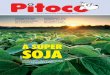 A SUPER SOJA - Pitoco · 2020. 8. 21. · gol mantém quatro frequências diárias ... na forma e condiÇÕes estabelecidas nas condiÇÕes gerais do certificado de recompra do veÍculo