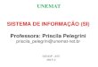 UNEMATsinop.unemat.br/site_antigo/prof/foto_p_downloads/fot_114323__si_… · Segundo a Revista Info Exame (maio, 2001) a GM se destacou em 2000, por ter sido a empresa que teve o