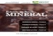 Boletim do Setor MINERAL Fonte: ANM - Sumأ،rio Mineral (2017) e Anuأ،rio Mineral (2018), USGS - Mineral