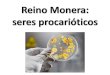 Reino Monera: seres procarióticos - Colégio Inedi · 2014. 6. 26. · Reino Monera: seres procarióticos. Seres procarióticos: Bactérias e Arqueas BACTERIA ARCHAEA EUKARYA. Bactérias